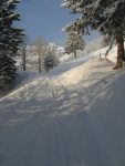 A la sortie de la forêt, on quitte la route pour monter dans les pentes sur la droite