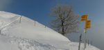 A La Biole, je me fait rattraper par le stratus, pourtant je suis à 1350m !