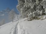 Puis on longe la forêt, avec la Cime de l'Est. Des flocons des arbres me tombent dessus et je sors du stratus à 1500m