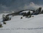 Bon faisons quand même attention et je descends le long de mes traces de montée (j'avais longé la forêt, sur la droite de la photo)