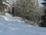 On repasse par la route, chemin d'été