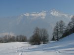 Dans la clairière sous 1200m qui est la dernière