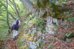 Les arbres sont courageux dans le secteur