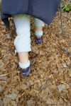 Beaucoup de feuilles mortes
