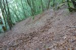 Vue arrière