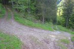 Descente par la route forestière