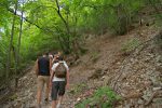 Le chemin monte fort dans la forêt qui n'offre guère de fraicheur en cette chaude journée.