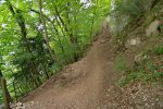 On rejoint le chemin qui traverse une partie du Salève à flanc de coteau, on tourne à gauche, et montons les escaliers suivants