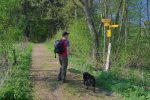 Sous les panneaux des chemins, le panneau aussi jaune explique que c'est impossible pour les chiens !