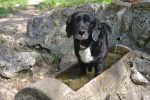 La fontaine profite à tous !