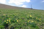 Difficile de rater le sommet du Chasseral