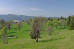 Métairie des Plânes en vue avec les éoliennes