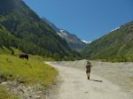 On longe la route forestière le long de La Navisence