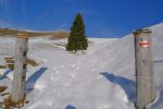 Le plateau de Meieberg, quand même pentu !