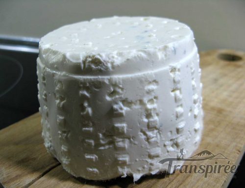 Comment faire son fromage à la maison