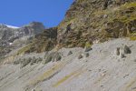 En face, mini-pyramides sur la moraine