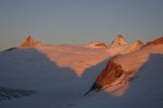 Superbe. Tête Blanche au centre droit