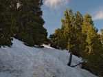 On sort de la forêt, trouvons le soleil et une belle dose de neige