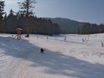 On part sur la gauche, en laissant devant nous la piste de ski de fond qui est reservée à ce sport