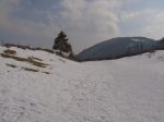 De mon coté, je continue, bientot à travers la forêt