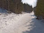 Le passage sur la route est très bref, on part de nouveau dans la forêt, sur la gauche où se trouvent le groupe