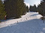 On longe la clairière, comme indiqué sur un panneau plus bas.