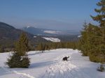 On descend dans la clairière, en profitant du reste de poudre !