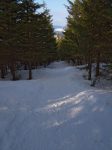 Descente avec au loin vue sur le chalet du Mollendruz