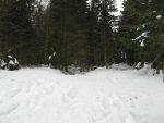 Après avoir traversé la route enneigée, on s'enfonce dans la trouée de la forêt en formet de T sur la carte