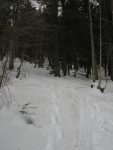 Le passage en forêt est assez long