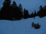 On va traverser une forêt clairsemée