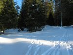 Vers 1285m, sur la carte bifurcation pour le chemin à droite ou la route à gauche. A droite pour moi.