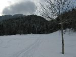 La clairière et on se dirige vers la forêt pour rejoindre la route enneigée.