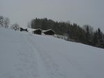 On remonte la clairière