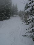 On longe une trouée dans la forêt