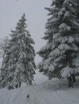 La neige est presque au sommet des piquets
