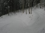 Je suis passé en partie sur la route avec le raccourci dans la forêt, à droite. Pas terrible les passage en forêt !
