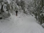La neige étant suffisante (de peu !), on monte par la forêt qui est le chemin d'été