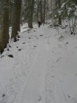 Le passage en forêt est assez long, on a eu le droit a un arbre tombé qu'il faut contourner au mieux.