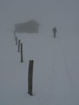 La couche de neige est faible, l'année dernière ils était presque recouverts !