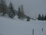 Une éclaircie et j'en profite pour prendre une photo vers le bas de la clairière, chalet du Pt1545