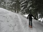 On continue à monter, le long de la forêt. Ayant fait cette course plusieurs fois, je m'amusais à comparer le cheminement différent