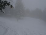 Au dessus de ce chalet, on tourner sur la droite pour rejoindre la crête