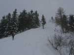 La pente finale, on rentre dans la forêt pour rejoindre la crête venant de la Croix de Javerne, les autres fois je montais directement sous le sommet (droite de la photo)