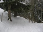 On rejoint la route, l'appareil a fini par de réchauffer contre moi, les chalets sous le S de Colatels