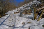 Le portillon