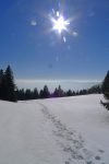 On profite enfin du soleil