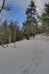 La montée se poursuit, la neige devenant plus épaisse.