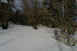 Un bref rayon de soleil, juste eu le temps de le prendre en photo