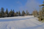 Moment de plaisir dans cette belle neige